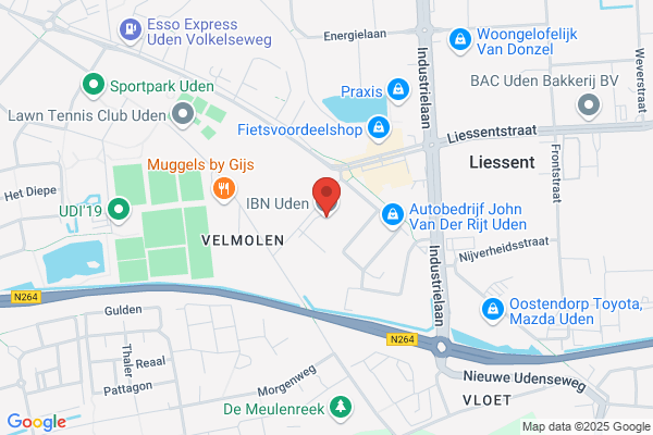 Zuid-Nederlands Instituut
