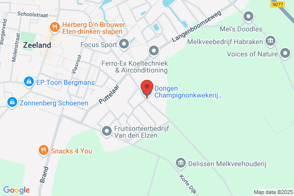 Championkwekerij Van Dongen