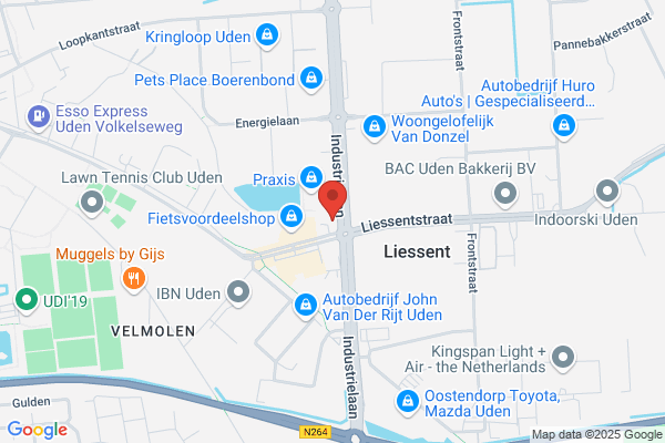 Van Heijningen