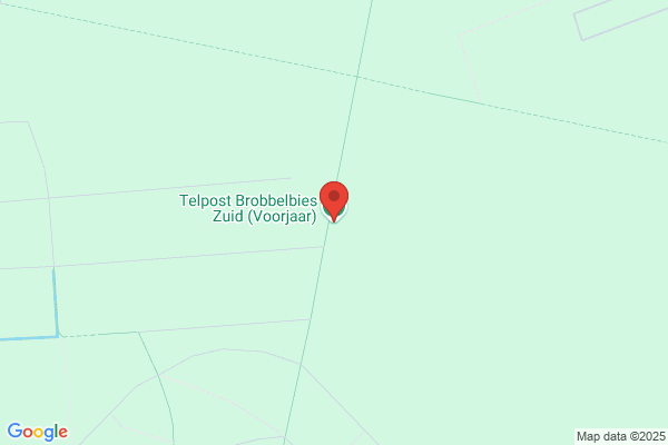 Vlieger, De