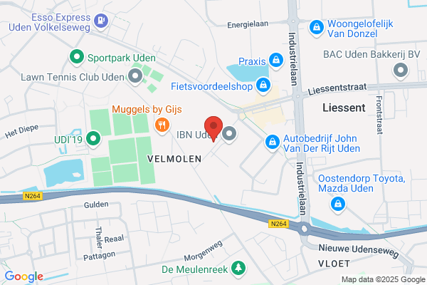 Zeester-Meerval