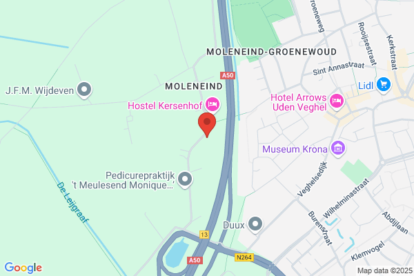 Vt Veterinary Consultancy Bv