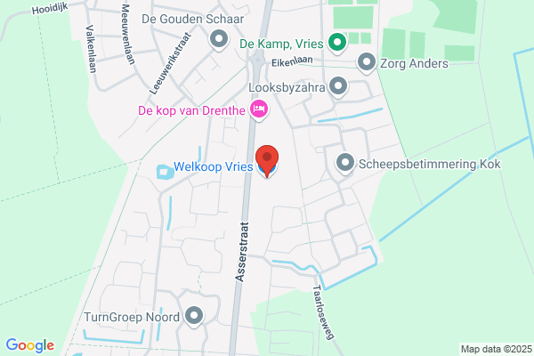 Welkoop Vries
