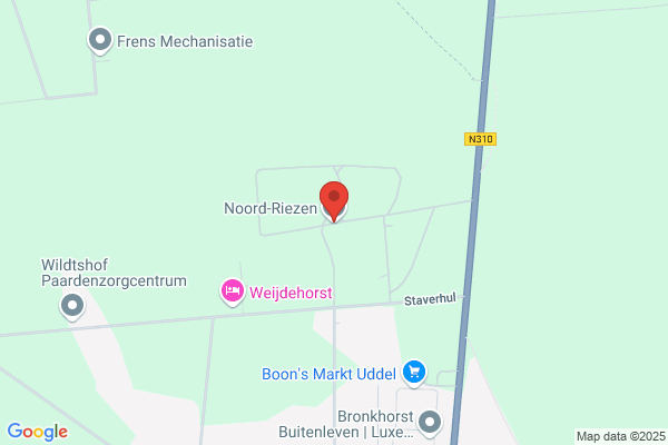 Noordriezen
