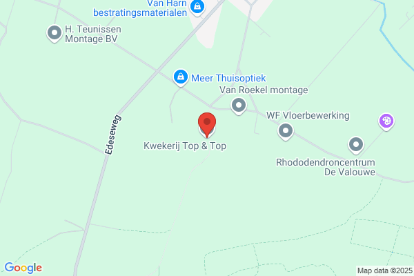 Taxus Beheer Bv