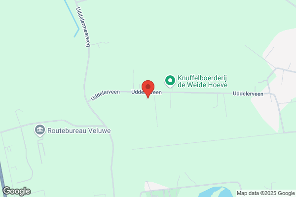 Versteeg
