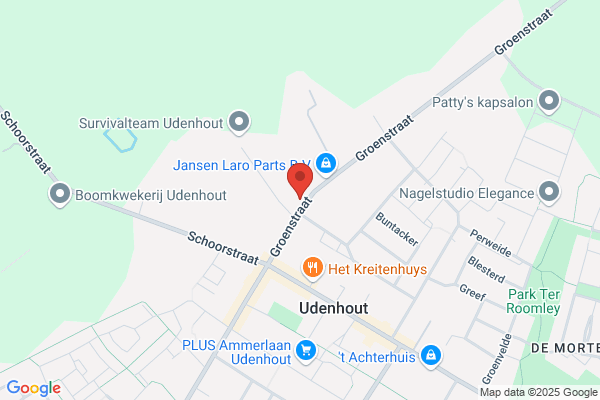 Leijten, P A J M