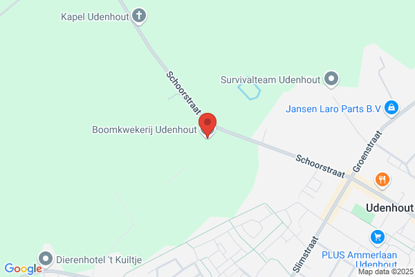 Torenhoek Bv