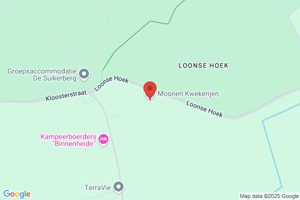 Vof P.M. De Jong Boomkwekerij