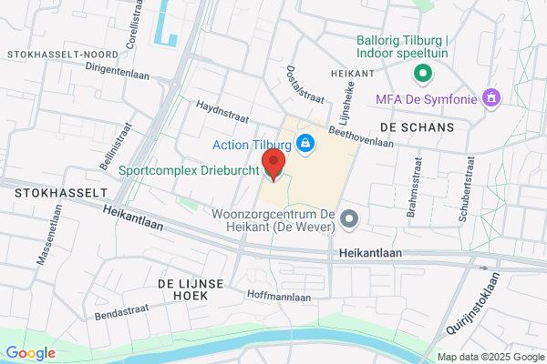 De Drieburcht