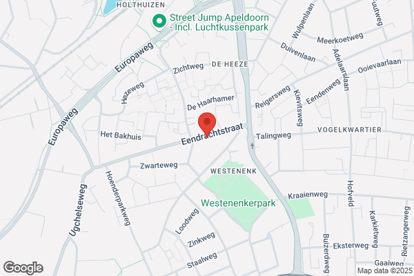 Consult & Accounting Nederland Bv