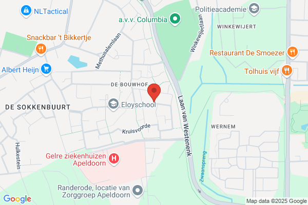 Jaquemijns