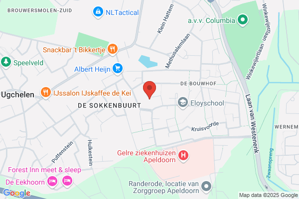 Thea Van Montfoort, Advies & Coaching