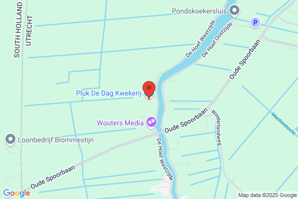 Pluk De Dag