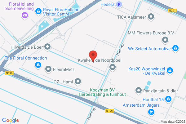 Holland Indoor Plants Bv