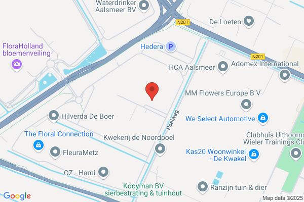Jasmyn Bloemen & Planten