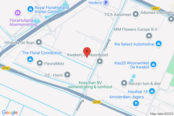 Kch Bloemen- En Plantenexport Bv