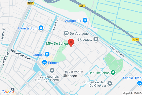 Voorlichtingsbur Hoofdpijn, Stichting