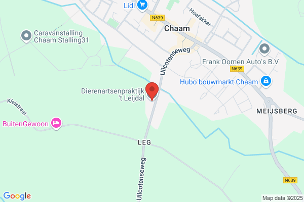 Leijdal, 't