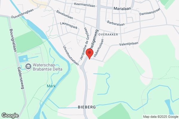 Spierings, Mr L B