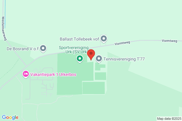 Postduivenver Ijsselmeervliegers