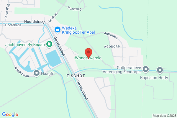 In De Tinnen Wonderwereld