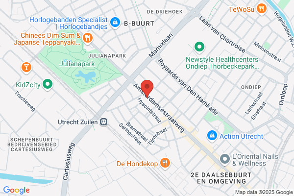 Snel Fietsen Den Haag