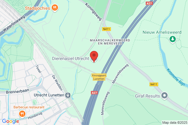 Dierenasiel Utrecht