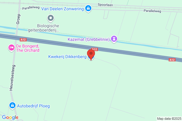 Kwekerij Klein Dikkenberg