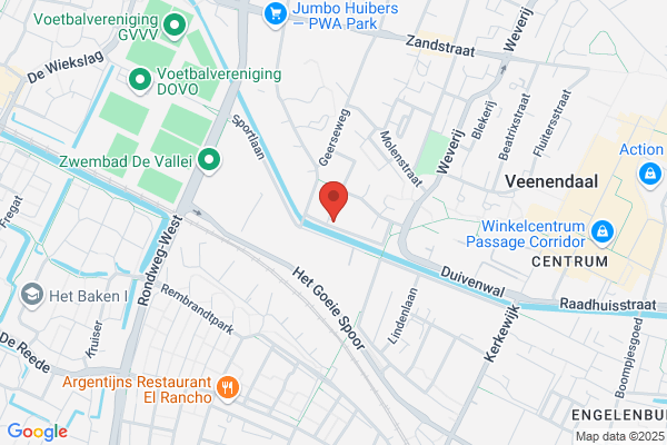 Johannes Calvijn Revormat