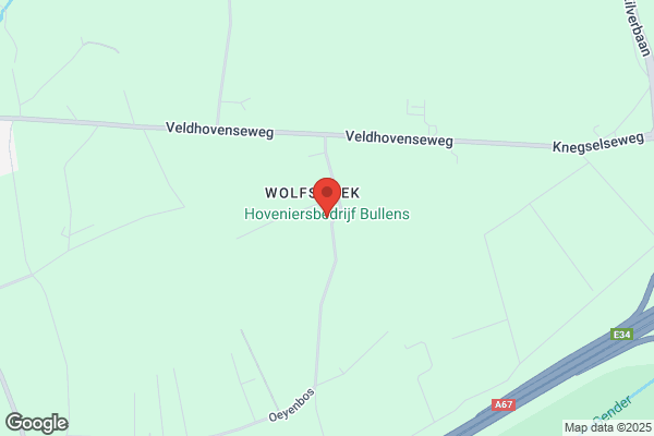 Bullens Int