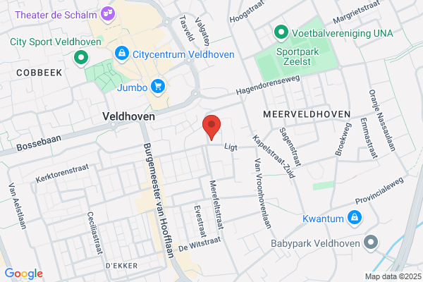Heemstra-Borst En M A Horstman, C G