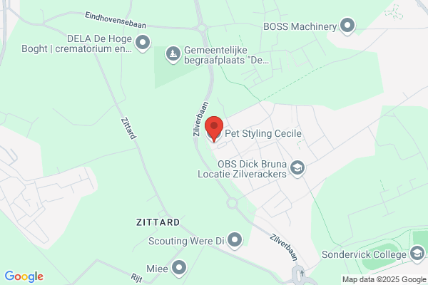 Hondentrimsalon Dog's Care