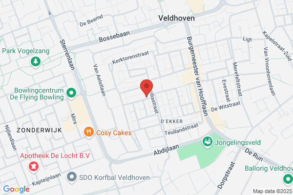 Wildenberg, Van Den