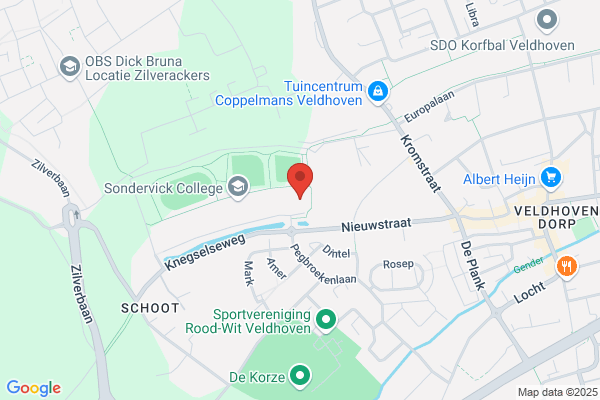 Modevakschool P Braun Van Wees