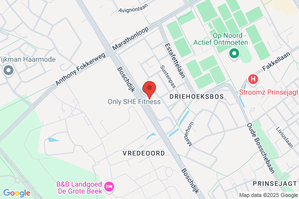 Bvo Information Services