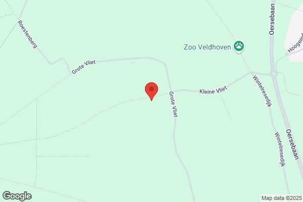 Wijnands Muurschilderingen