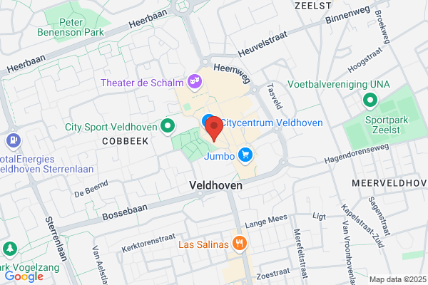 Schone Vliet, De