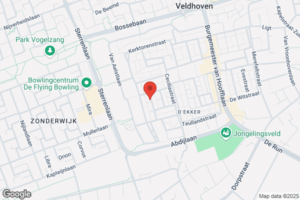 Doesselaere Bv, C J Van