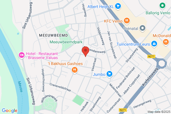 Reijnen
