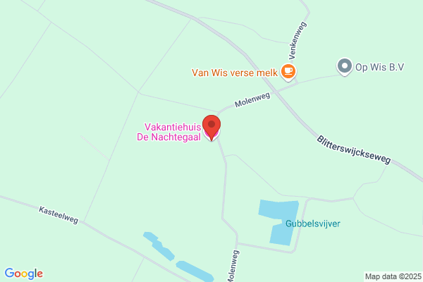 Nachtegaal, De