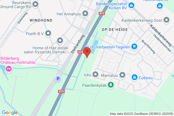 Windhond, De