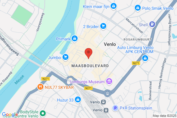 Vijgenboom