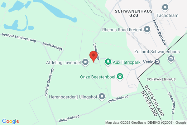 Linden, De Vier