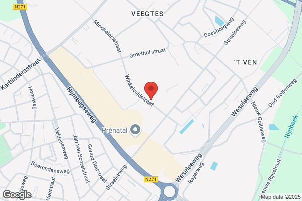 E-carnavalskleding