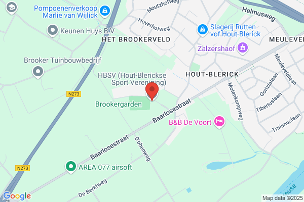 Hbsv
