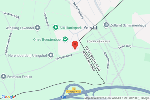 Witte Steen, De