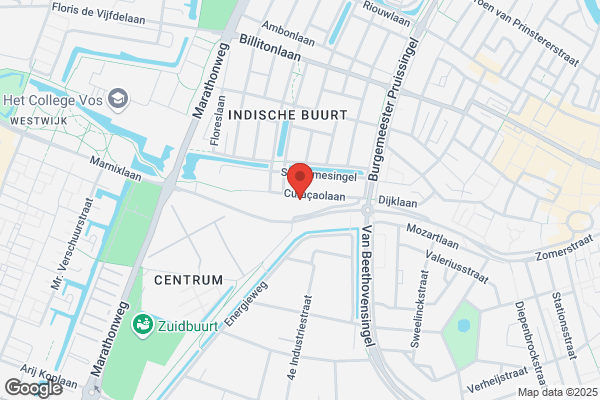 Roelfzema, Ineke