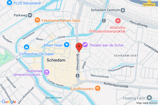 't Stadserf