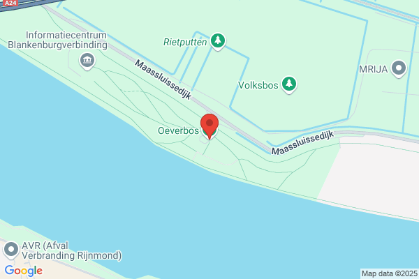 Stenebos